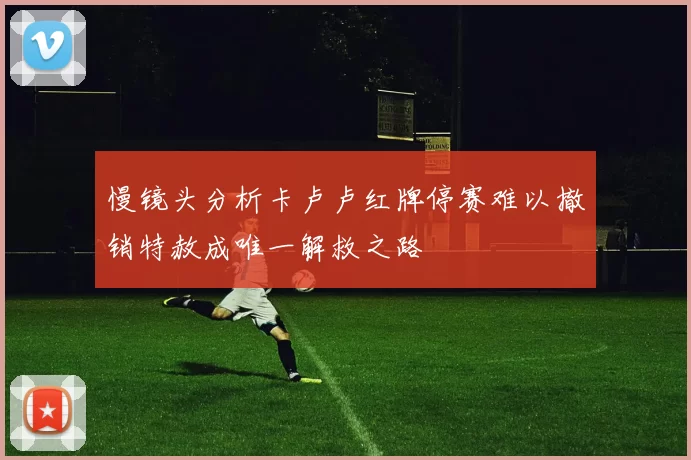 慢镜头分析卡卢卢红牌停赛难以撤销特赦成唯一解救之路